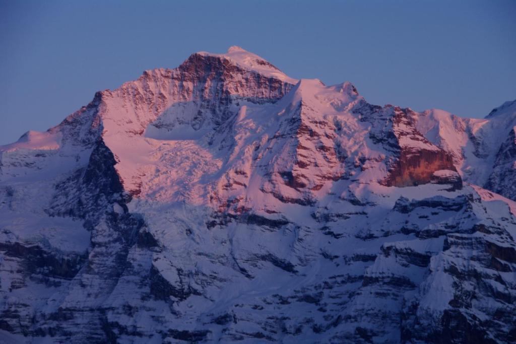 Hotel Restaurant Jungfrau 劳特布龙嫩 客房 照片